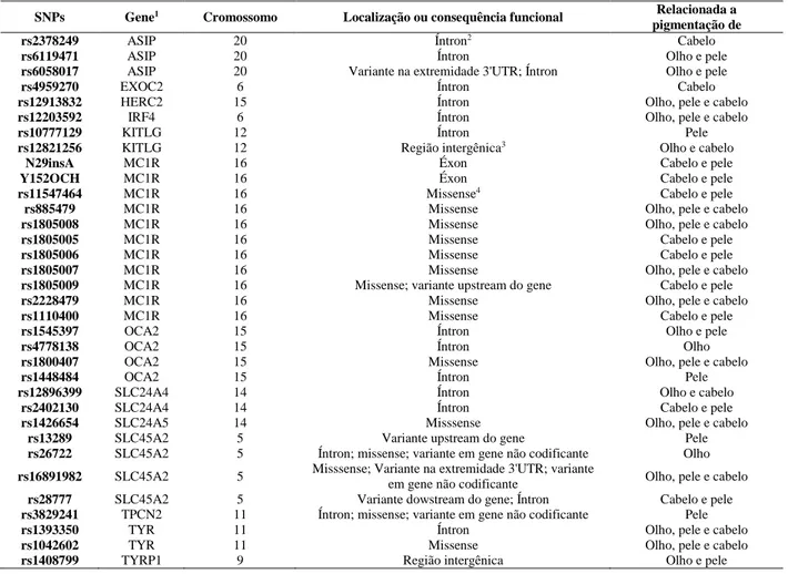 Tabela 1. SNPs utilizados em testes para predição de características fenotípicas relacionadas a pigmentação