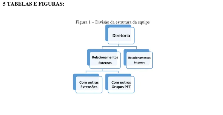 Figura 1 – Divisão da estrutura da equipe 