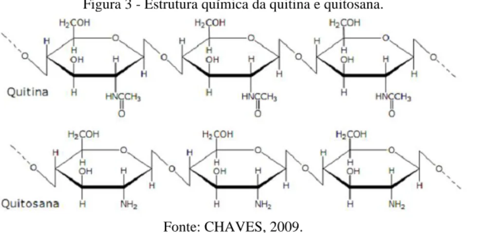 Figura 3 - Estrutura química da quitina e quitosana. 