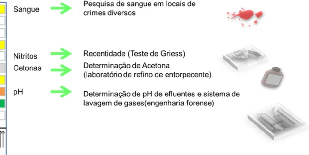 Figura 2. Alguns campos da fita de uroanálise e suas que apresentam potencial aplicação na área pericial.