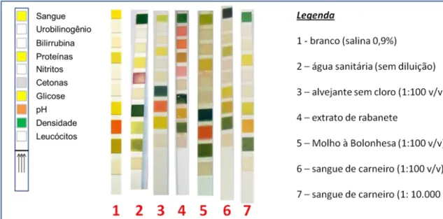 Figura  3.  Fotografia  de  fitas  expostas  a  diferentes  amostras  que  apresentaram  resultado  presuntivo  positivo  para  sangue:  o  desenho  da  esquerda  representa a fita de uroanálise além da posição de cada um dos testes possíveis com a fita; a