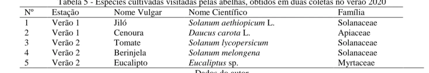 Tabela 5 - Espécies cultivadas visitadas pelas abelhas, obtidos em duas coletas no verão 2020 