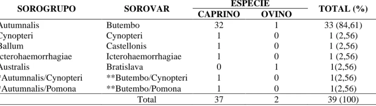 Tabela 1 – Frequência de aglutininas anti-Leptospira spp. em pequenos ruminantes segundo o sorovar e seus respectivos  sorogrupos predominantes no teste de soroaglutinação microscópica (SAM), no município de Suzano, São Paulo