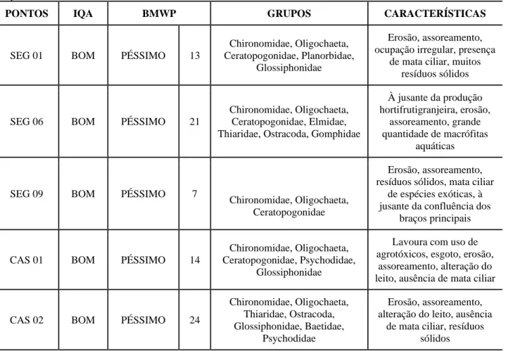 Tabela 2. Resultados dos grupos taxonômicos encontrados nos pontos de coleta na Bacia Hidrográfica do Córrego Segredo,  Campo Grande/MS 
