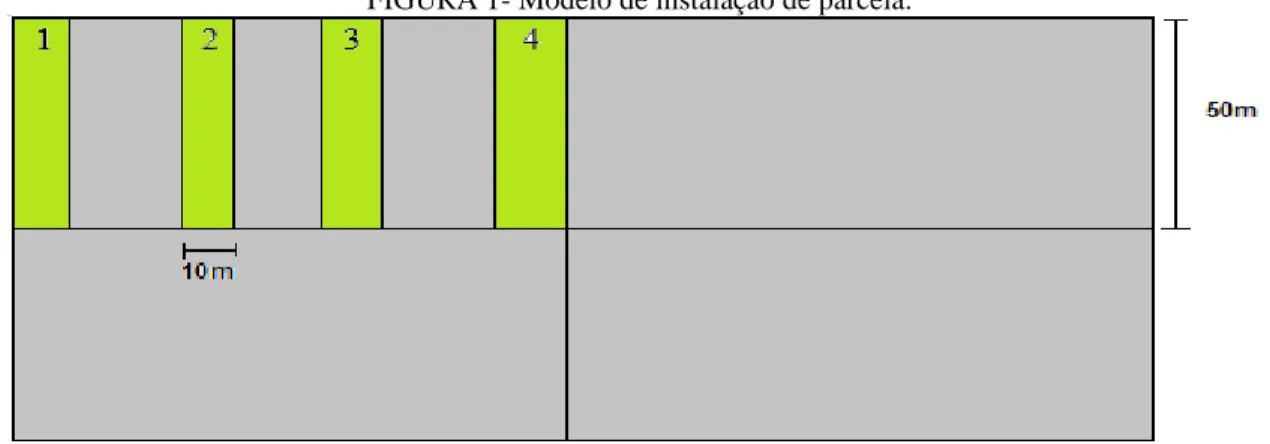 FIGURA 1- Modelo de instalação de parcela. 