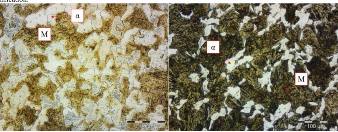 Figure  2:  The  difference  between  Ferritic  (α)  and  Martensitic  (M)  microstructures