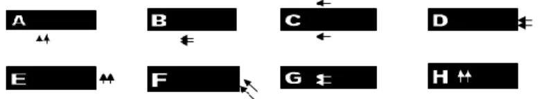 Figura 3. Aproximações direcionais à plataforma de  step (A: pela frente; B: pelo  lado; C: a cavalo; D, E: pelo fim; F: pelo canto; e, G, H: pelo topo) 
