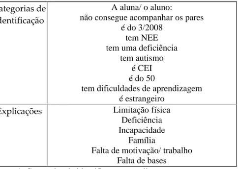 Figura 1: Categorias de identificação e explicações 