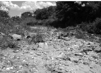 Figura 1 - Descarte irregular de resíduos da construção - Córrego Cascavel-Goiânia-GO De acordo com a Resolução
