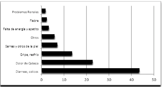 Figura 1 - Magnitud de las principales enfermedades ocurridas durante las últimas dos semanas, 2010.