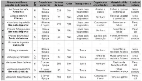 Tabela 2 - Resultados obtidos na coleta de 14 de agosto de 2010 onde coletou-se água e larvas do interior do tanque  das bromélias, para análise quantitativa (volume e pH) e análise qualitativa (odor e transparência)