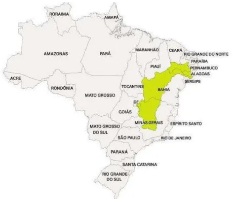 Figura 1. Território brasileiro e a bacia hidrográfica do rio São Francisco (em destaque)