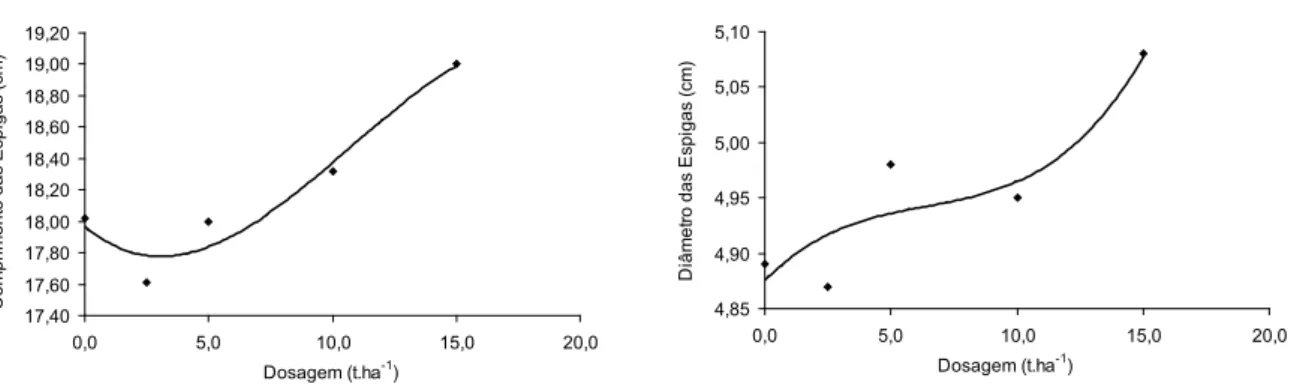 Figura 1 – Produtividade do milho em função das doses de lodo aplicadas no experimento