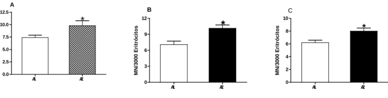 Figura 2: Número de Micronúcleos (MN)/3000 eritrócitos analisados em diferentes datas de coleta nas duas áreas do córrego  Ceroula