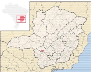 Figura 1: Localização de Piumhi em Minas Gerais 