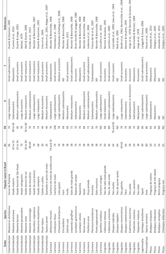 Table 1: Compilation of cytogenetic data of medium and large Brazilian mammals, with the respective popular name in Brazil, diploid number (2n), fundamental number (FN), morphology of the X and Y chromosomes and  references