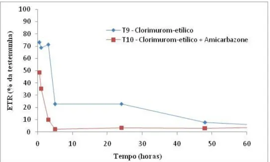 Figura 4  - Efeito da  aplicação do Clorimurom-etilico, Clorimurom-etilico + Amicarbazone, em  pós-emergência  por  meio  da  avaliação  da  taxa  de  transporte  de  elétrons  (ETR)  ao  longo  do  tempo para as cultivares da Ipomeia Grandifolia
