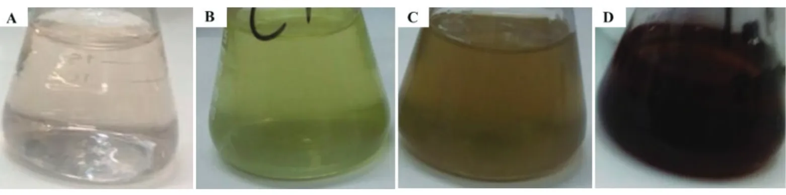 Figura 2. Síntese de AgNPs utilizando extrato aquoso de Mikania glomerata Sprengel. A