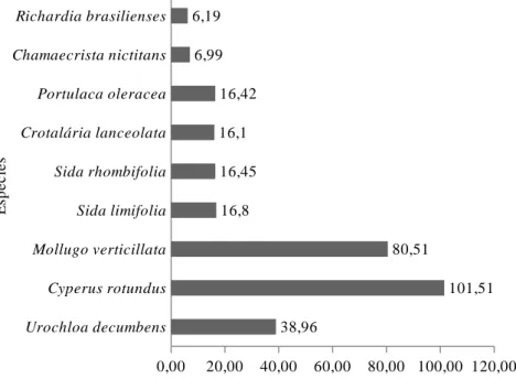 FIGURA  2:  Índice  de  valor  de  importância  (%)  (IVI)  das  plantas daninhas na área de implantação de eucalipto.