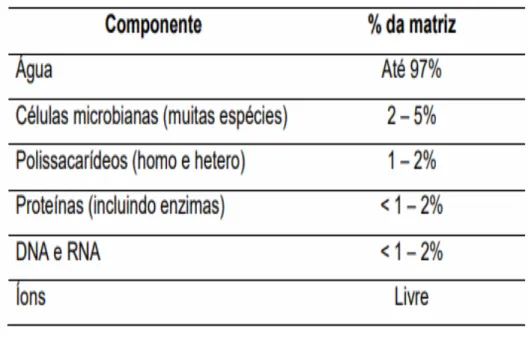 TABELA 1: Composição do Biofilme