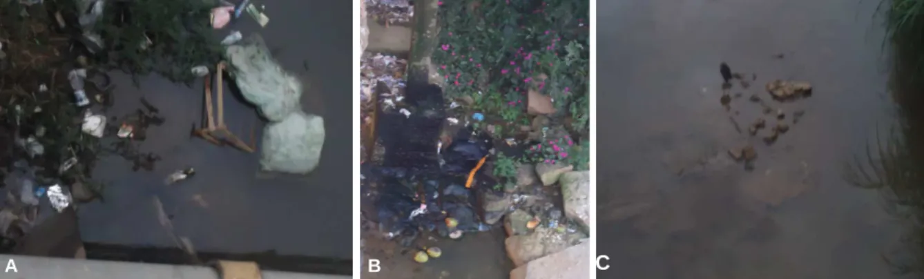 FIGURA 3:  Imagens dos principais impactos ambientais registrados visualmente, nos tres  pontos  analisados  no  trecho  urbano do  rio  Manhuaçu  (A:  Deposição  de  lixo; 
