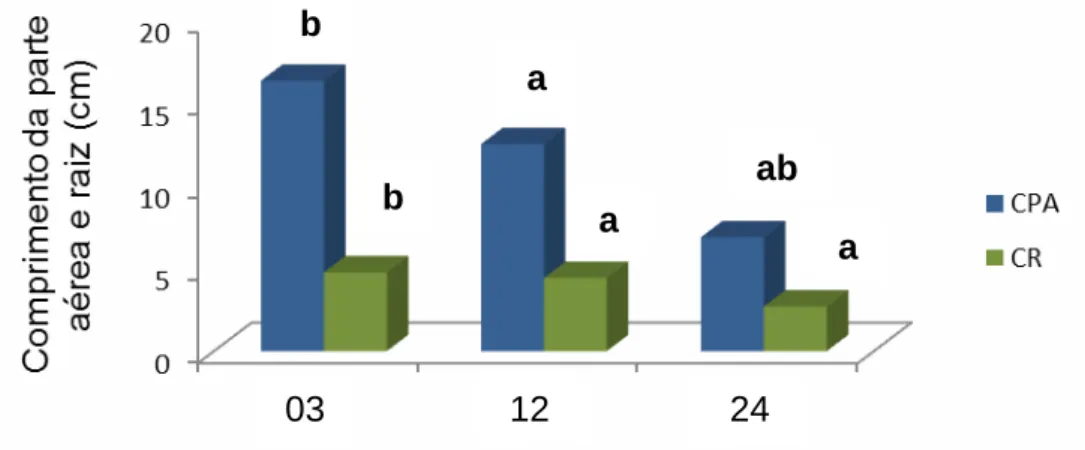 FIGURA 4:  Comprimento  da  parte  aérea  e  raiz  de  plântulas  de  Crotalaria  juncea  L  oriundas de sementes submetidas a diferentes períodos de armazenamento,  Parnaíba/PI  2014