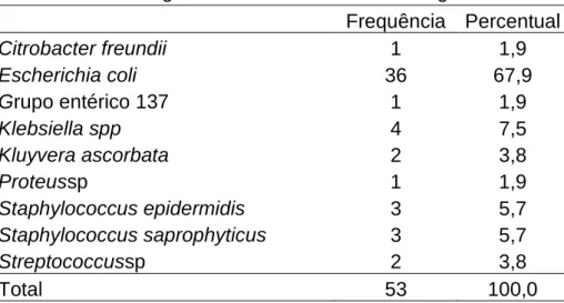 TABELA 1. Microrganismos isolados de urina de gestantes  Frequência  Percentual  Citrobacter freundii  1  1,9  Escherichia coli  36  67,9  Grupo entérico 137  1  1,9  Klebsiella spp  4  7,5  Kluyvera ascorbata  2  3,8  Proteussp  1  1,9  Staphylococcus epi