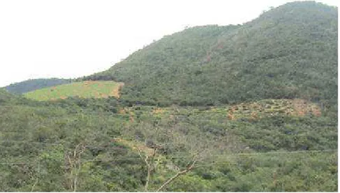FIGURA 8. Encostas de áreas de Caatinga bastante antropizada. 