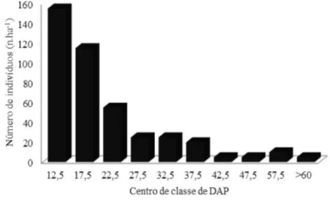 Figura 1: Distribuição diamétrica dos indi- indi-víduos de um trecho de floresta ombrófila  densa na Comunidade Terra Santa,  Municí-pio de Santarém, Estado do Pará.
