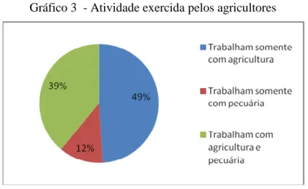 Gráfico 3 - Atividade exercida pelos agricultores
