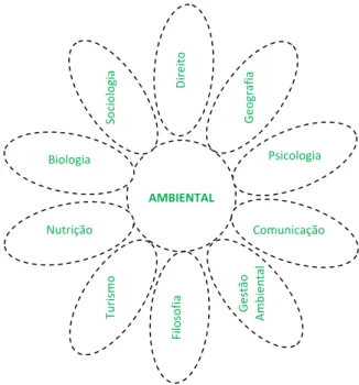 Figura 1. Contornos do objeto do campo de conhecimento  ambiental. 