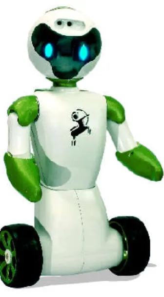 Figura 3 – O robô humanoide Beo. 