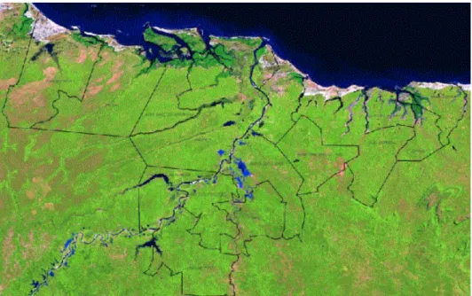 Figura 6 – Mosaico de imagens Landsat 7, sensor ETM + , composição colorida  3B4G5R, do Baixo do Parnaíba (PI, MA e CE)