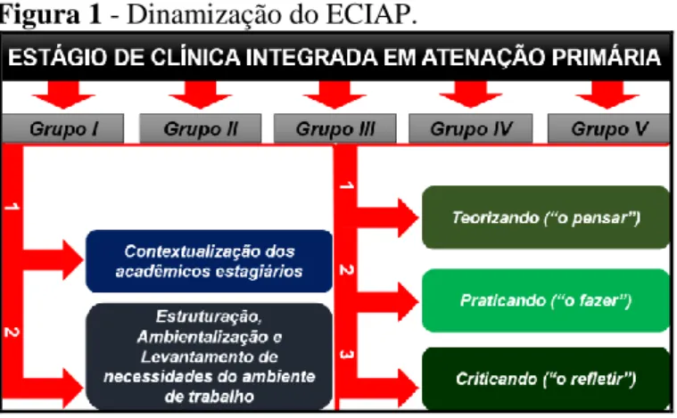 Figura 1 - Dinamização do ECIAP. 