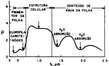 Fig. 2-Curva de reflectância típica de uma folha verde. 