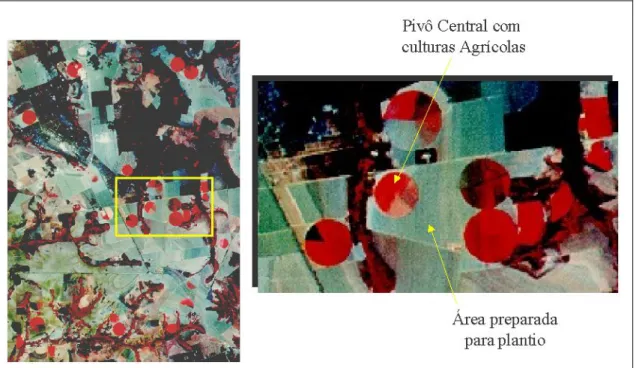 Fig. 5- Áreas irrigadas pelo sistema de pivô central. 