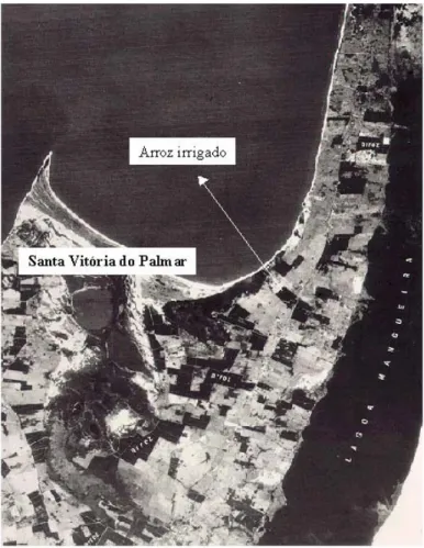 Fig. 7 – Imagem do Landsat-TM mostrando áreas de arroz irrigado no município  de Santa Vitória do Palmar – RS