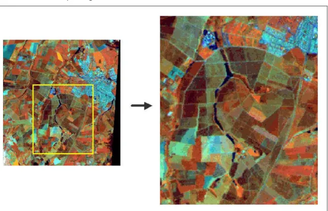 Fig. 10 – Imagem Landsat-TM da região de Bebedouro – SP, mostrando áreas  destinadas à citricultura
