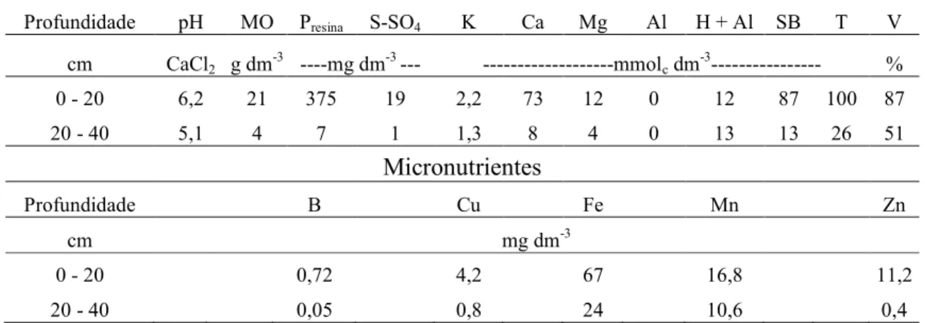 Tabela 1. Análise química do solo, básica e micronutrientes, da área do experimento. 