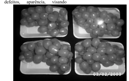 Figura 1. Embalamento das uvas em bandejas fechadas com filme plástico. 
