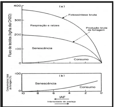 Figura 2. Efeito da intensidade do pastejo de lotação contínua sobre os componentes da  produção e sobre o consumo de uma pastagem mantida a diferentes níveis de IAF  (PARSONS et al., 1983)