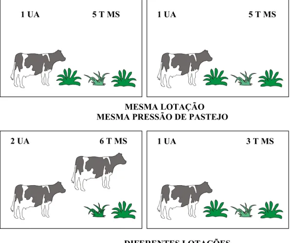 Figura 1 - Representação esquemática de lotação e pressão de                         pastejo