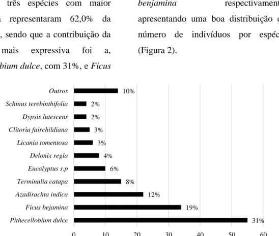 Figura  2.  Frequência  das  espécies  arbóreas  mais  representativas  na  zona  Sul  da  Cidade  de  Aracaju na Orla de Atalaia
