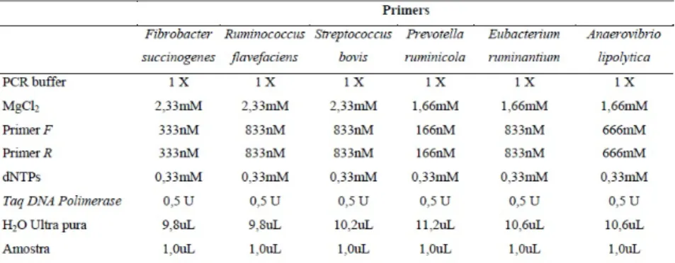 Tabela 1 . Primers utilizados para amplificação, temperaturas de anelamento e tamanho de fragmento.