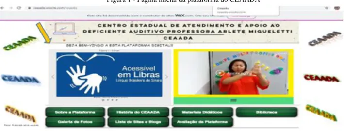 Figura 1 - Página inicial da plataforma do CEAADA