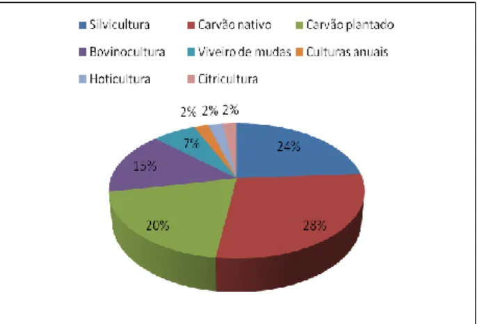 Figura 2. Processo das atividades econômicas no COPAM em Buritizeiro/MG. 