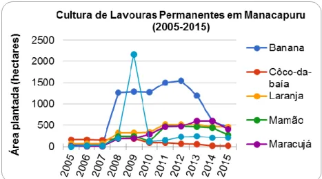 Gráfico 1. Principais culturas permanentes no município de Manacapuru (2005-2015). Fonte: IBGE, 2016