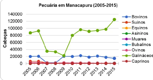 Gráfico  4.  Estimativa  de  pastagens  e  efetivo  de  rebanhos  bovinos  em  Manacapuru  (2005-2015)