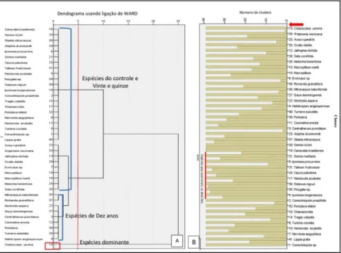 Figura  6:  A  e  B:  Dendrograma  do  agrupamento  obtido  pelo  método  de  WARD,  com  dados  padronizados  de  variância  mínima  para  analisar  Espécie  x  Nº  de  Indivíduos-Frequência  e  Dominância,  de  espécies herbáceas registradas em área de e