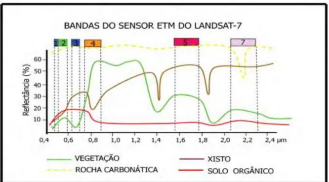 Figura 04: Espectros de reflectância e as posições das bandas do sensor EMT-Landsat 7 como forma para  avaliar as bandas que melhor diferenciam espectralmente os quatro tipos de materiais